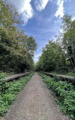 Hiking Finsbury Park to Parkland walk cover