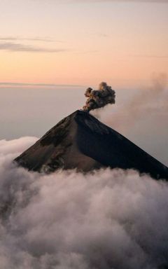 Locals Closing Down Networking