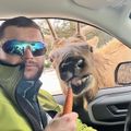Volodymyr's avatar