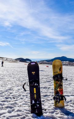 Snowboard Fever Fun cover