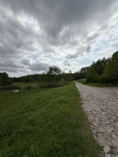 8 image in gallery