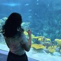 Shreya's avatar
