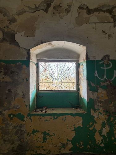 8 image in gallery
