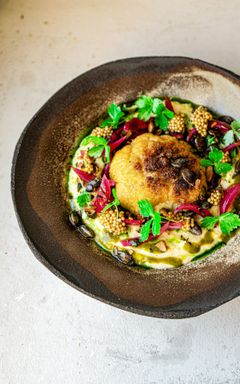 🌱 Vegan Dinner Night You’re Invited! cover