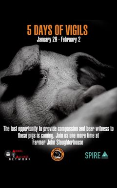 The Last Pig Vigil - Day 5 (FINAL DAY) 🐖🐖🐖❤️❤️❤️ cover