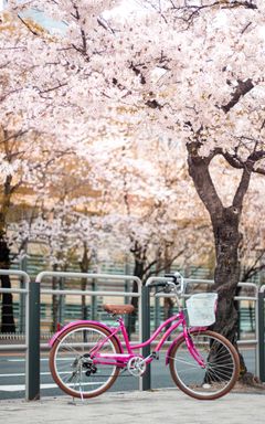 Let's ride a bike cover