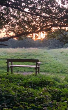 Mindful Walk on Wimbledon Common cover