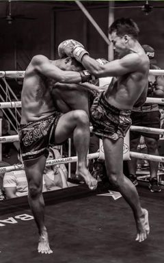 Muay Thai/MMA beginner buddy