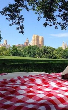 Girls park picnic meetups