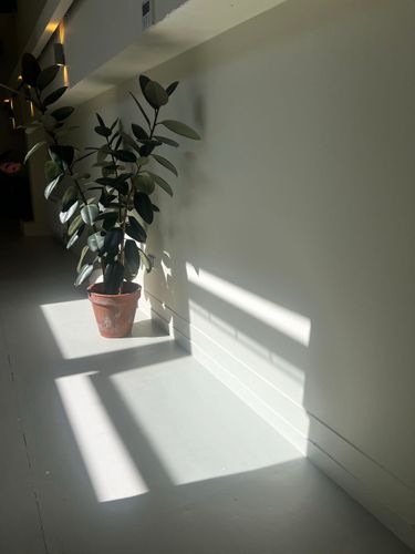 5 image in gallery