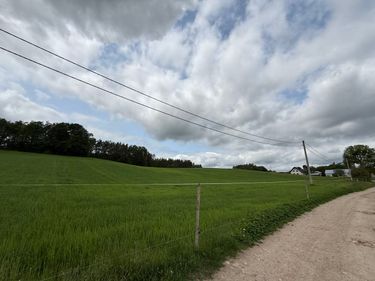 10 image in gallery
