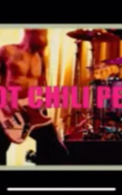 Red Hot Chili Peppers Concert cover