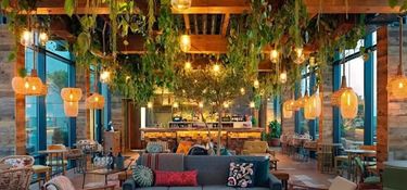 6 image in gallery