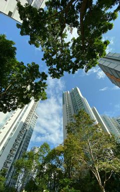 Landscape architects Warsaw