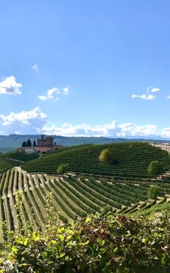 Secret wine tasting in Piedmont, Italy! cover