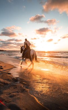 Horse related events! (Races/shows/polo)