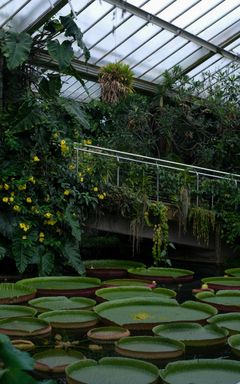 Visit Kew Gardens cover