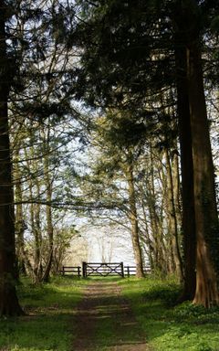 AROUND UK