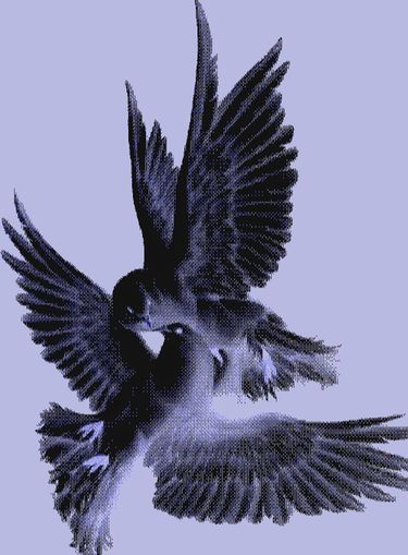 8 image in gallery