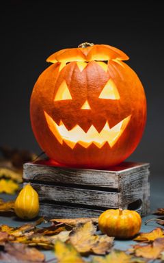 Pumpkin pie & mulled wine cover