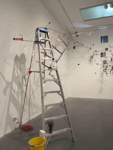 9 image in gallery